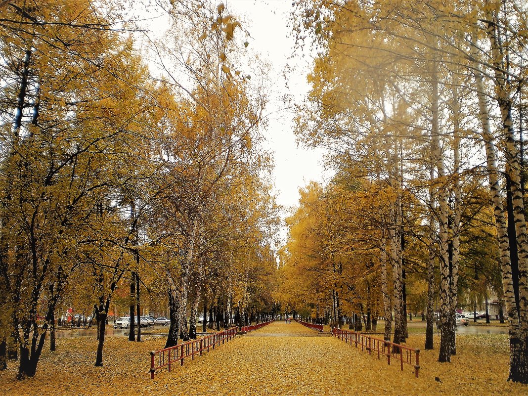 Не уйдет казалось лето... - Венера Чуйкова