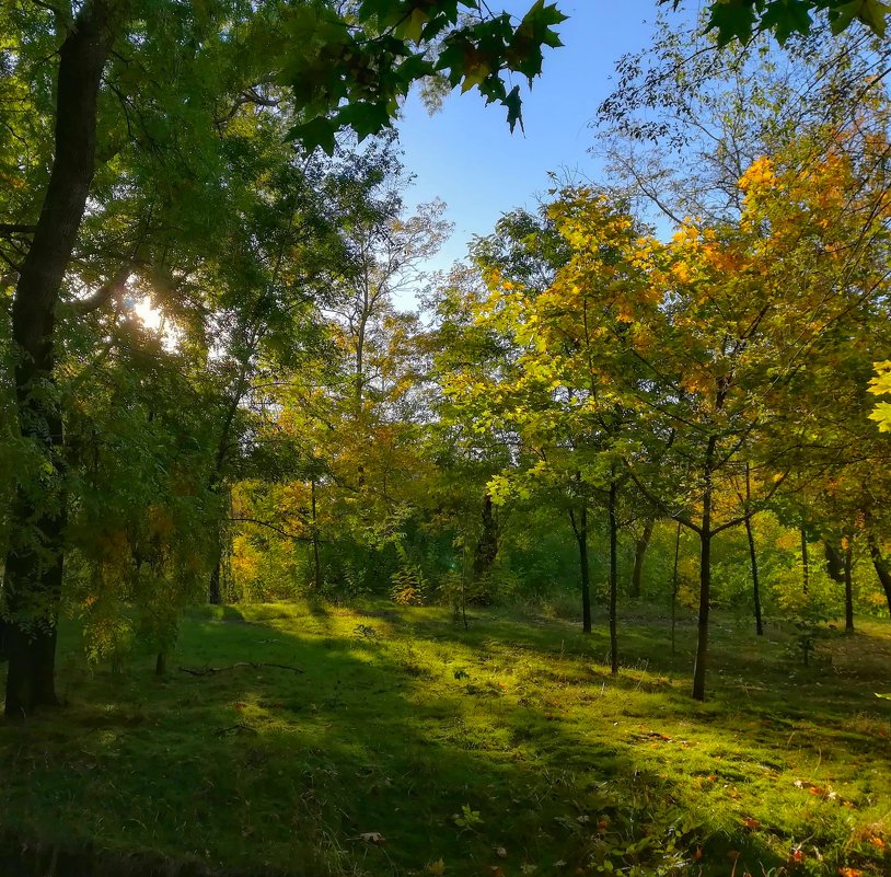 Потаенное место - Дмитрий фотограф