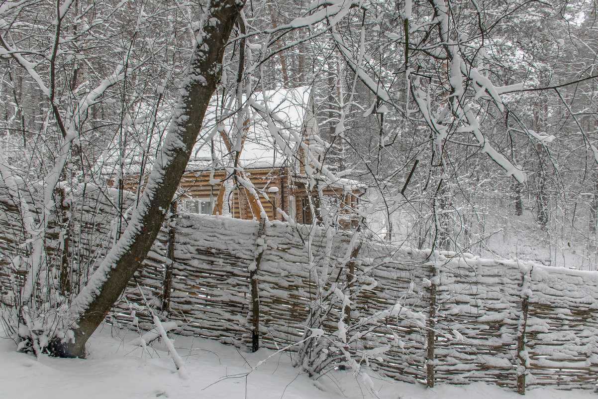 Лесная сказка. - Юрий Борзов Лесная сказка. - Юрий Борзов