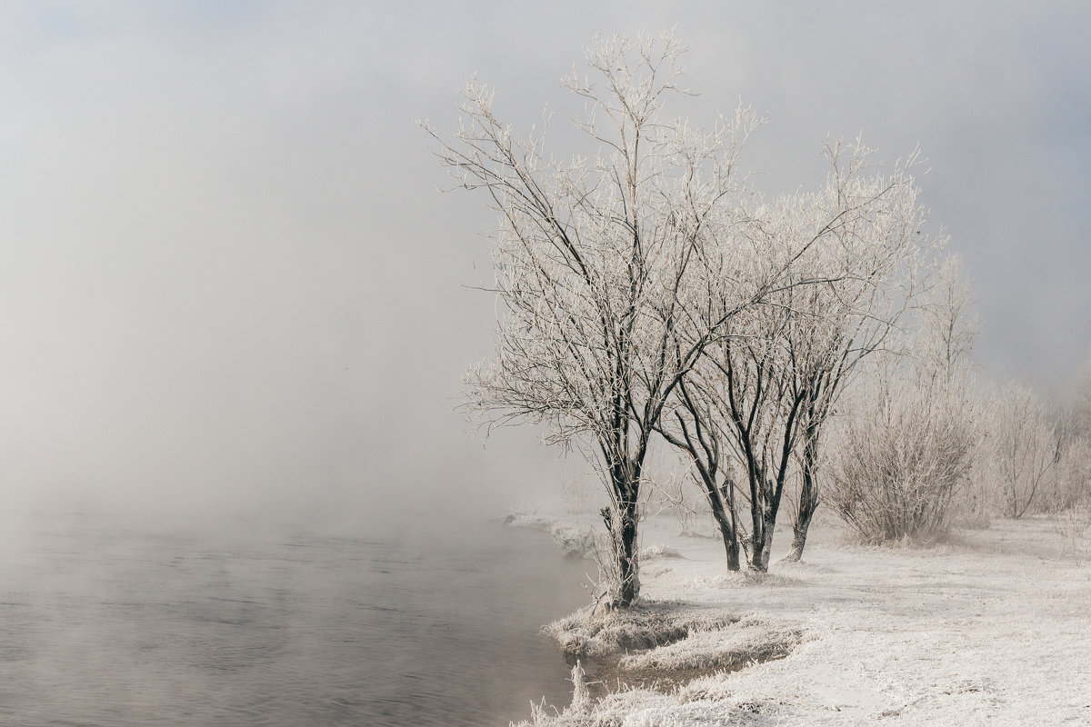 Tatyshev park, Russia, Siberia, Krasnoyarsk. - Igor Novikov