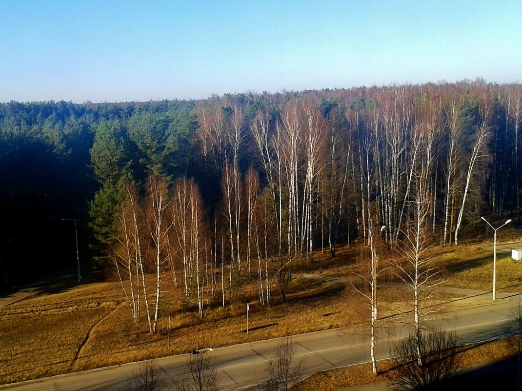 поздняя осень - Владимир 