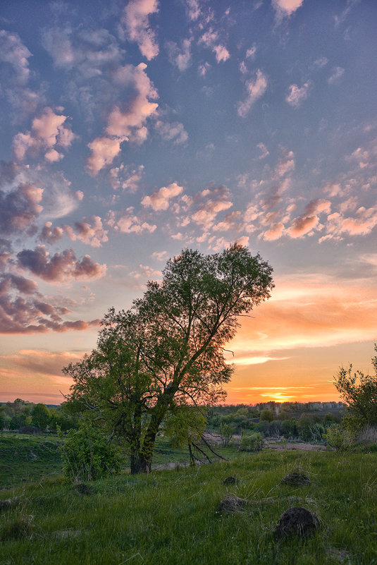 Late evening - Женя Лузгин