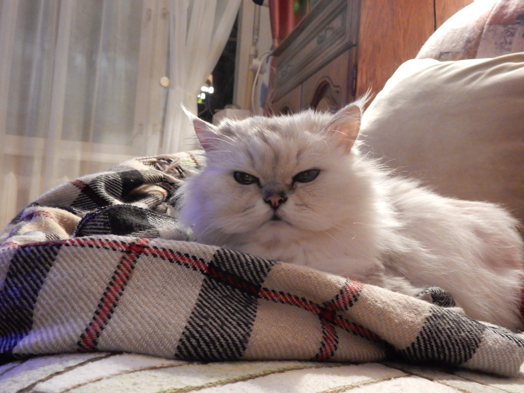 Со сна. - ТаБу Со сна. - ТаБу