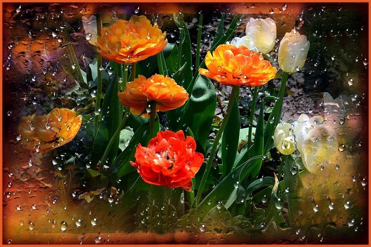 ДОЖДЛИВОЕ ОЗАРЕНИЕ - Анатолий Восточный