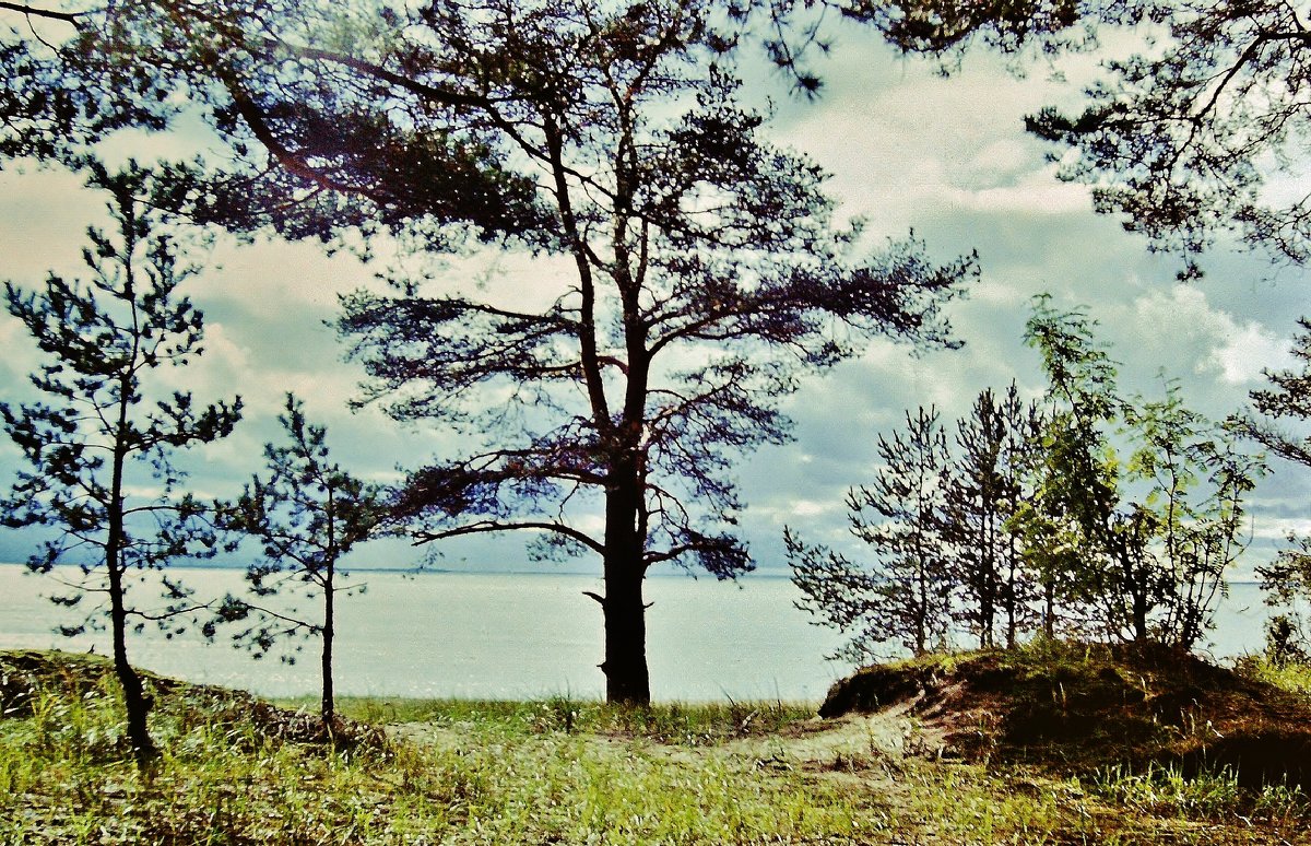 У Ладожского озера - Leonid Tabakov