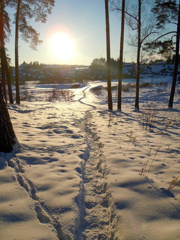 Зимняя тропинка - Татьяна Егорова Зимняя тропинка - Татьяна Егорова