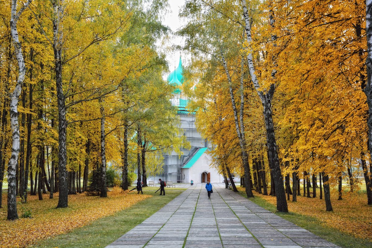 *** - Андрей Пахомов *** - Андрей Пахомов