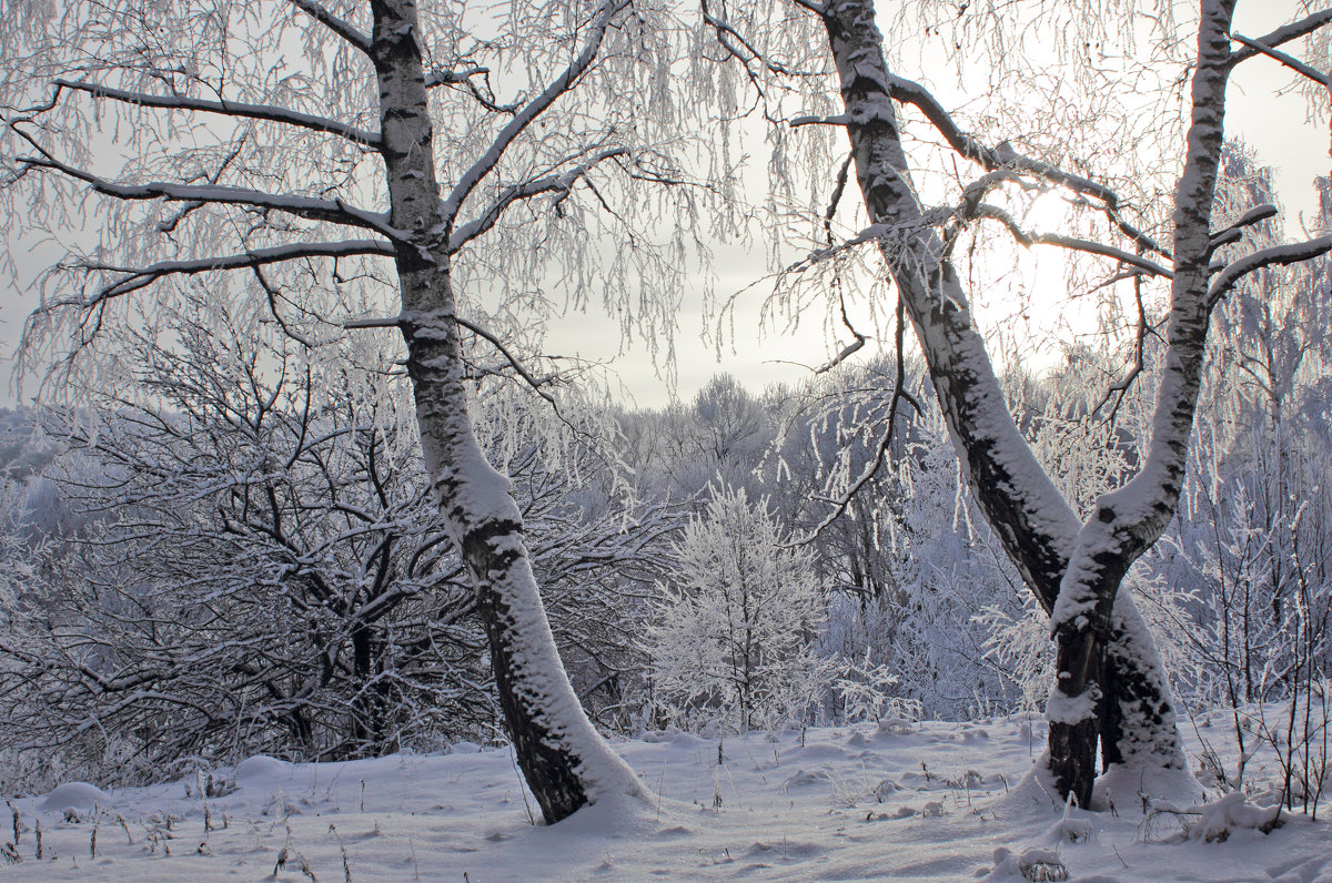 *** - Ольга Анянова