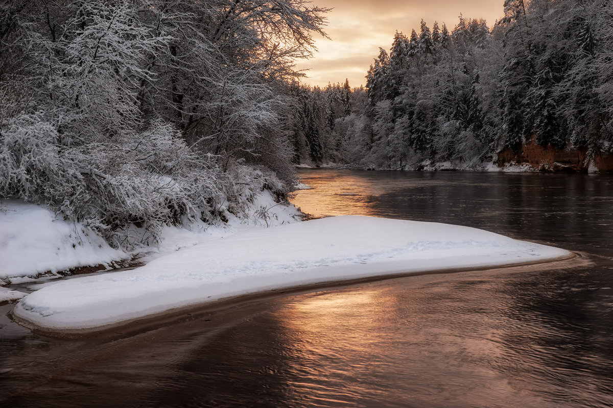 Winter - Dace Spalviņa