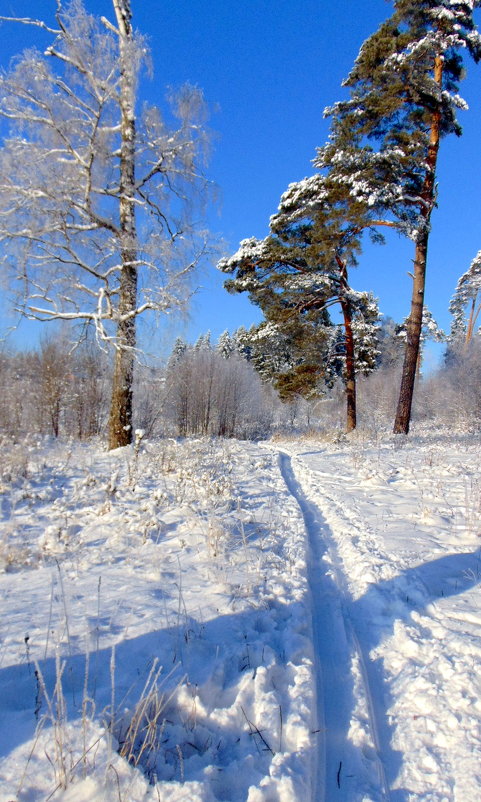 Ясный день - Любовь 