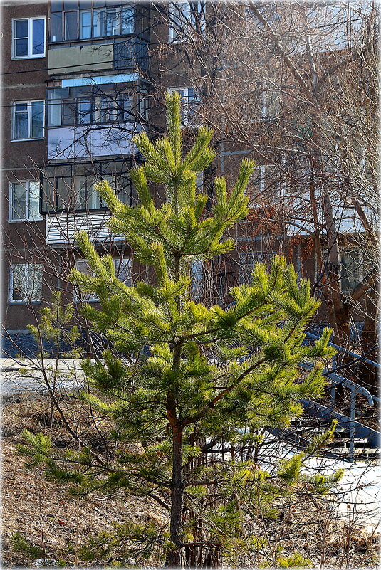 Ласковый Апрель. - Александр Шимохин