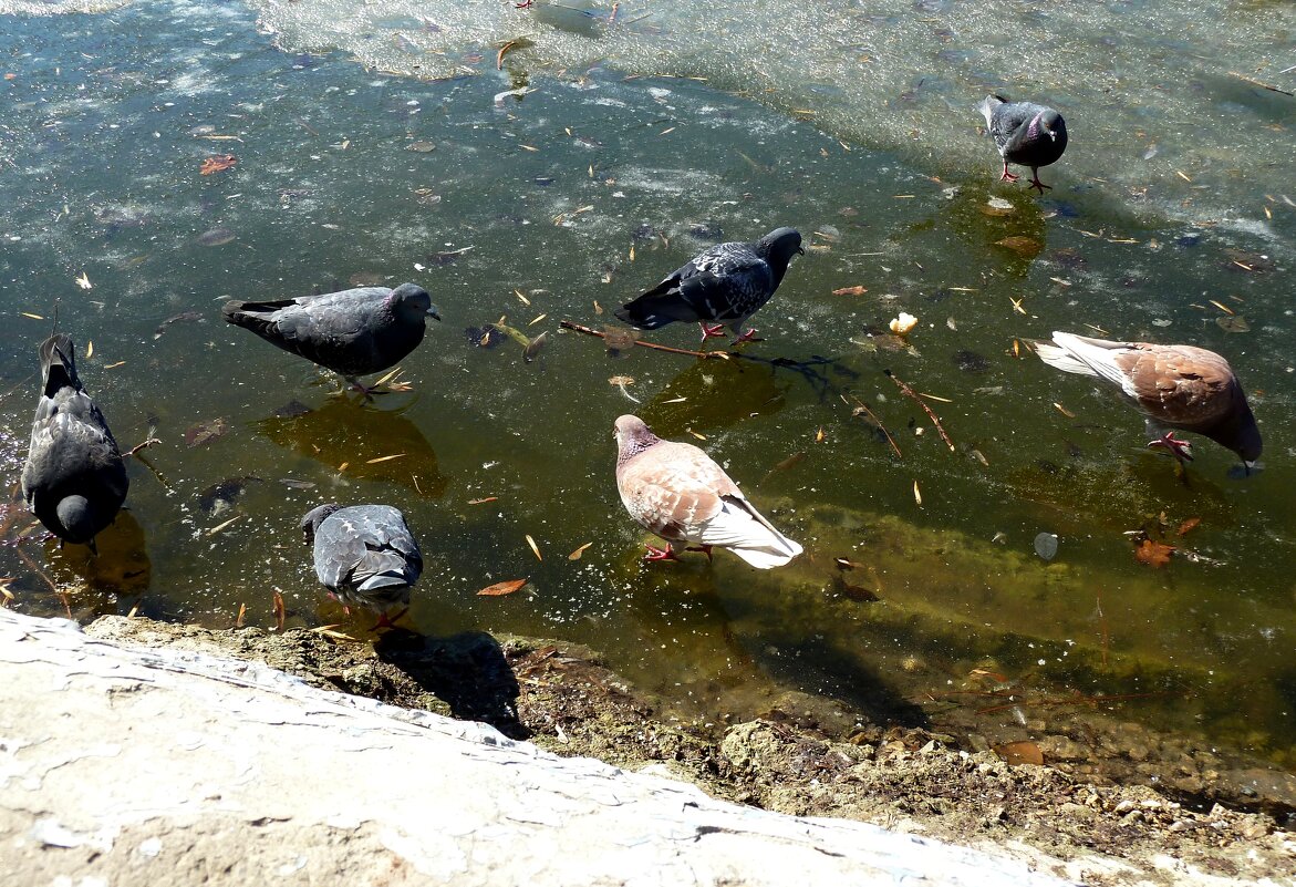 А вчера здесь была вода... - Лидия Бараблина