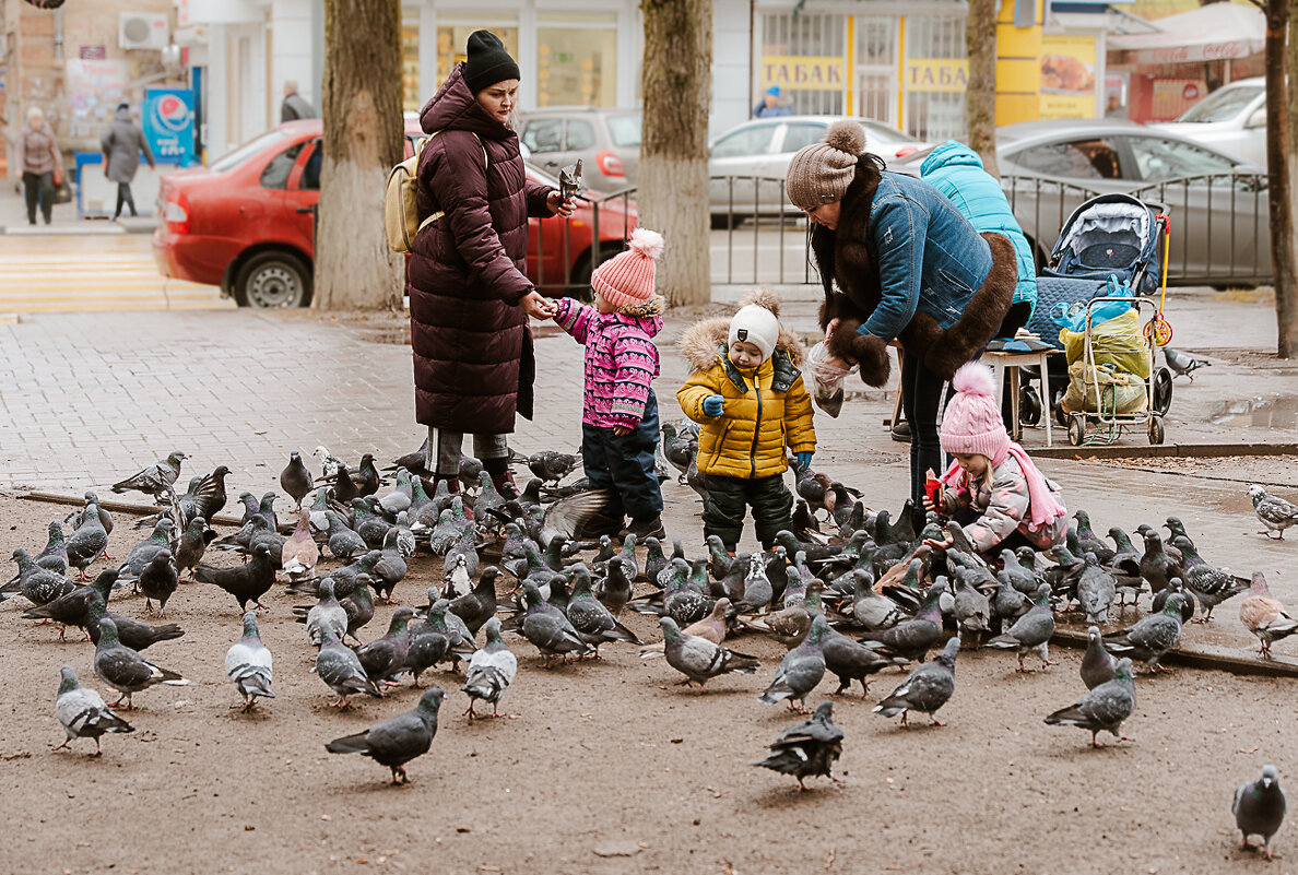 Дети и голуби любят друг друга... - Юрий ЛМ