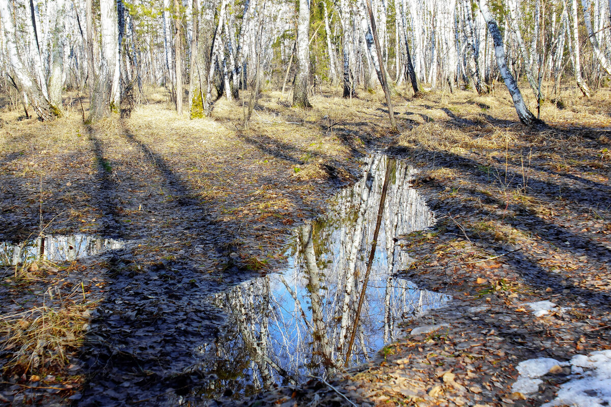 Ура, ура - пришел апрель! - Сергей Царёв Ура, ура - пришел апрель! - Сергей Царёв