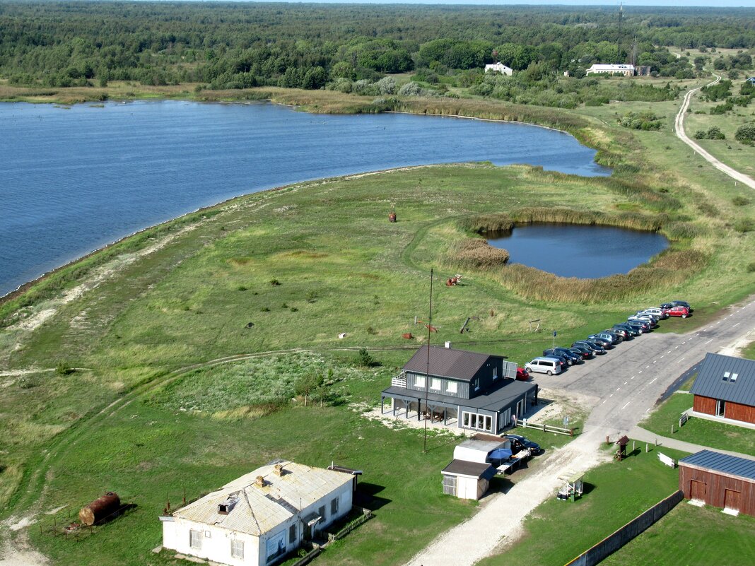 Вид с маяка Сырве - Елена Павлова (Смолова)