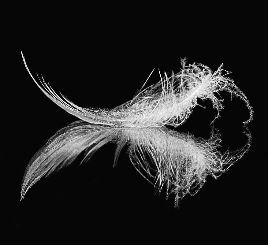 чёрное и белое...противостояние... - Ната Семионова чёрное и белое...противостояние... - Ната Семионова