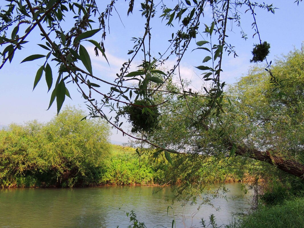 На Иордане - Гала На Иордане - Гала