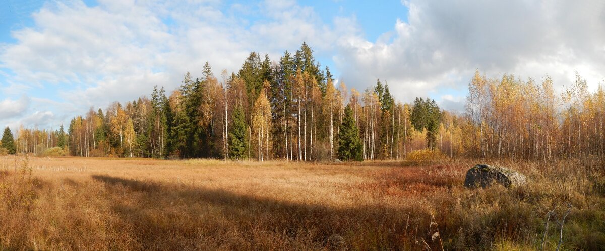 Выборг. Панорама на острове Черкасовский - genar-58 '