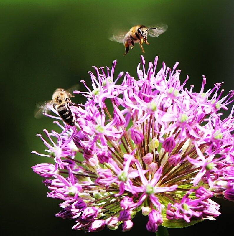 За работой - Алексей Поляков