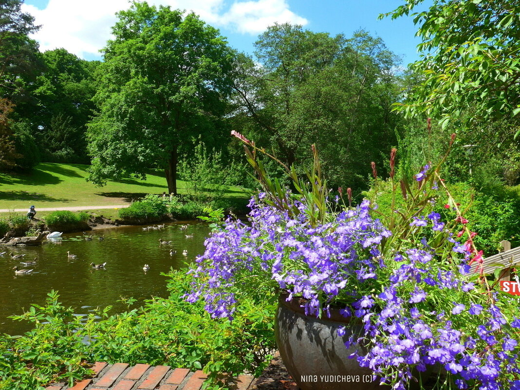 Stadtpark Hamburg - Nina Yudicheva