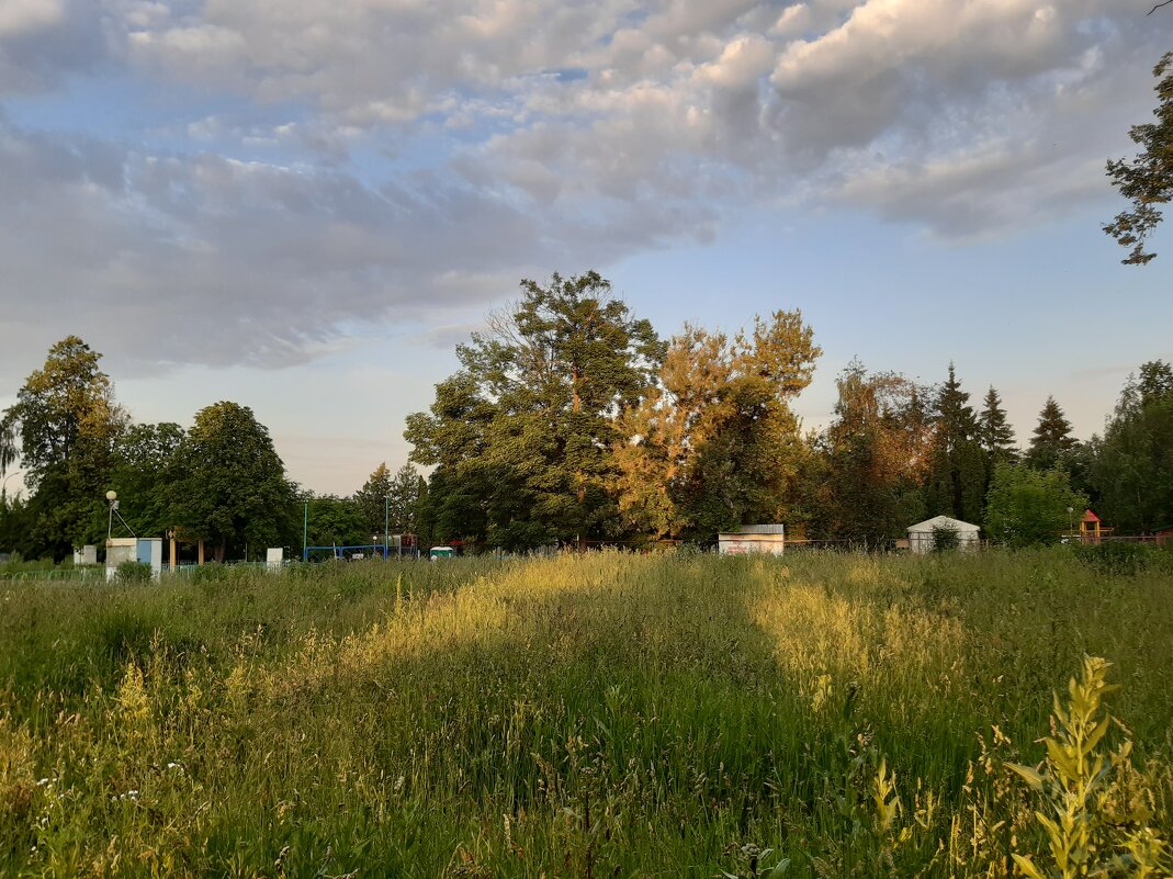 В парке - Николай Филоненко 