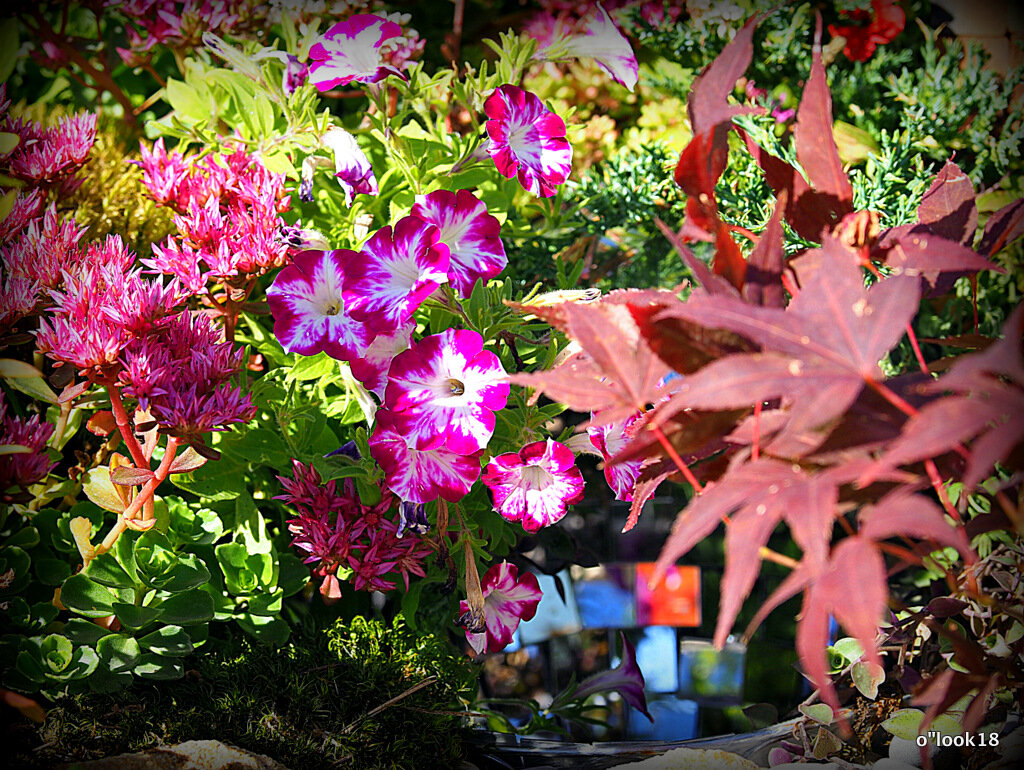 цветочная мозаика - Олег Лукьянов цветочная мозаика - Олег Лукьянов