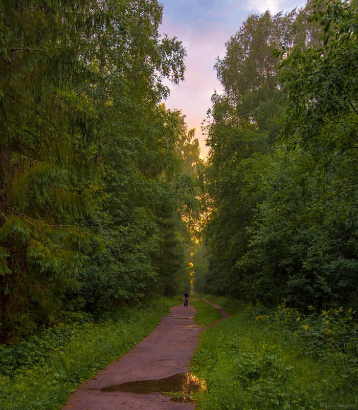 Человек и Природа - Дарья Меркулова