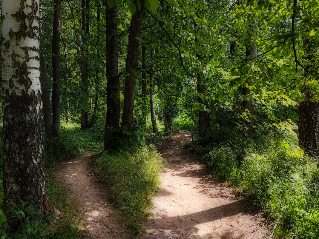 *** - Владимир Безбородов *** - Владимир Безбородов