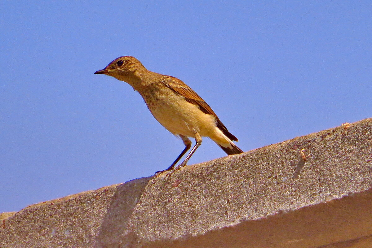 Каменка. - ivan Каменка. - ivan