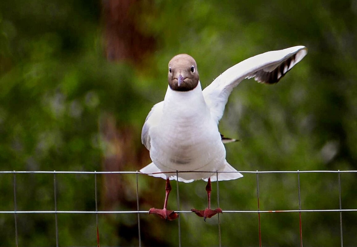 проветривание - alex graf проветривание - alex graf