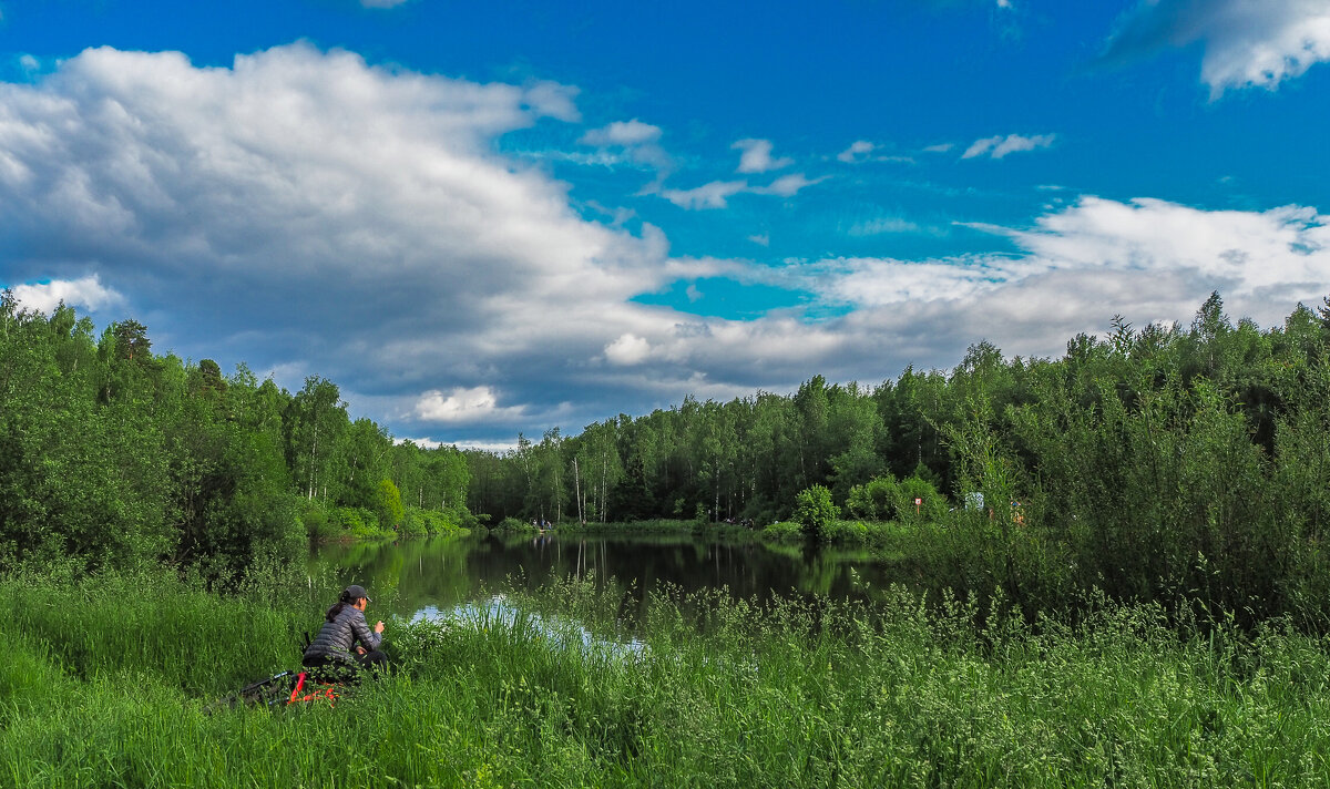 Пргулки в Летнем Парке - юрий поляков