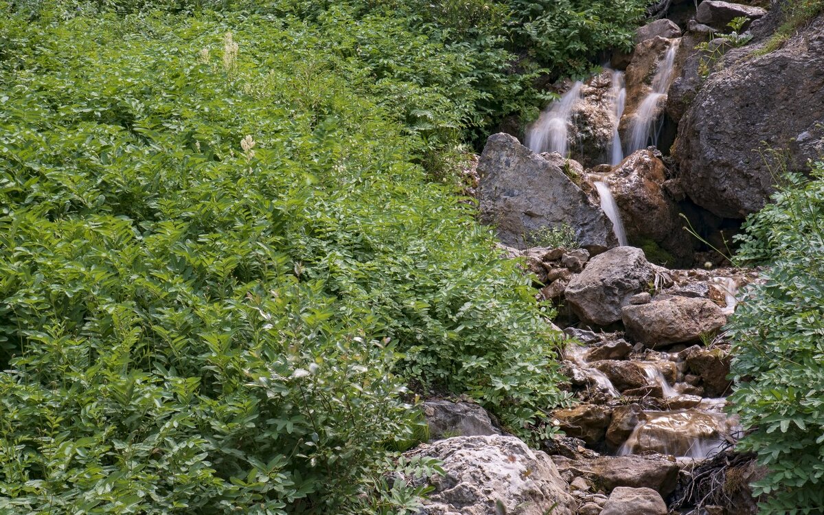 Небесные горы - Александр Грищенко