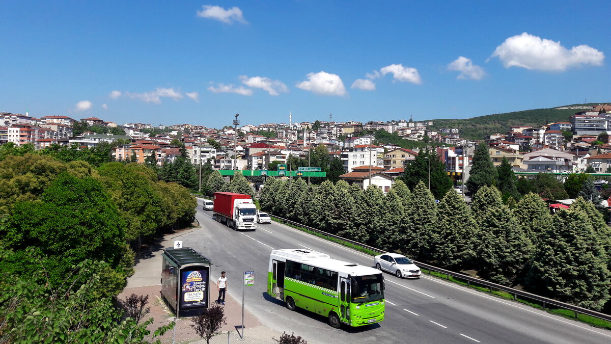 *** - веселов михаил 