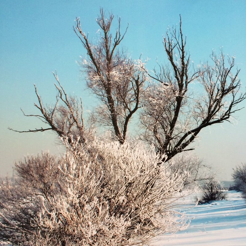 Зима - Novikov38 Новиков