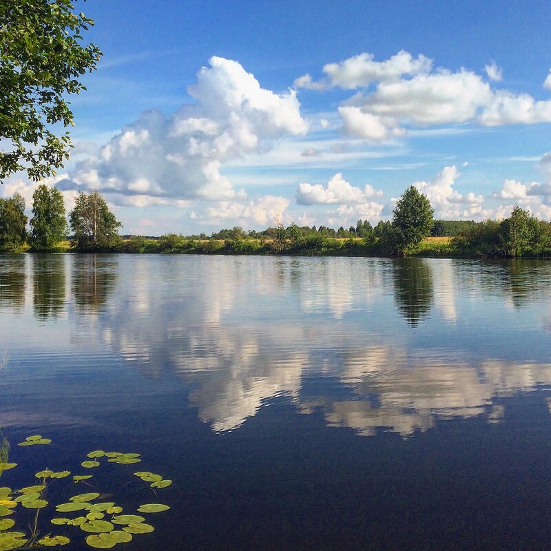 Зеркало воды - Татьяна 