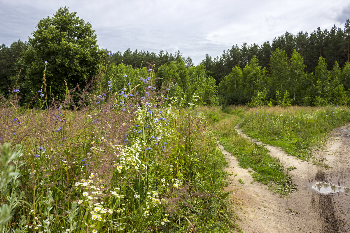 .. - оксана .. - оксана