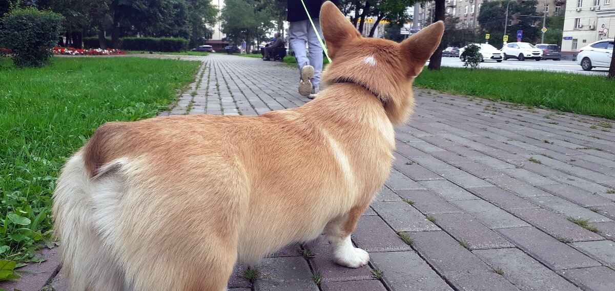 - Не хочу идти домой... - Елена 