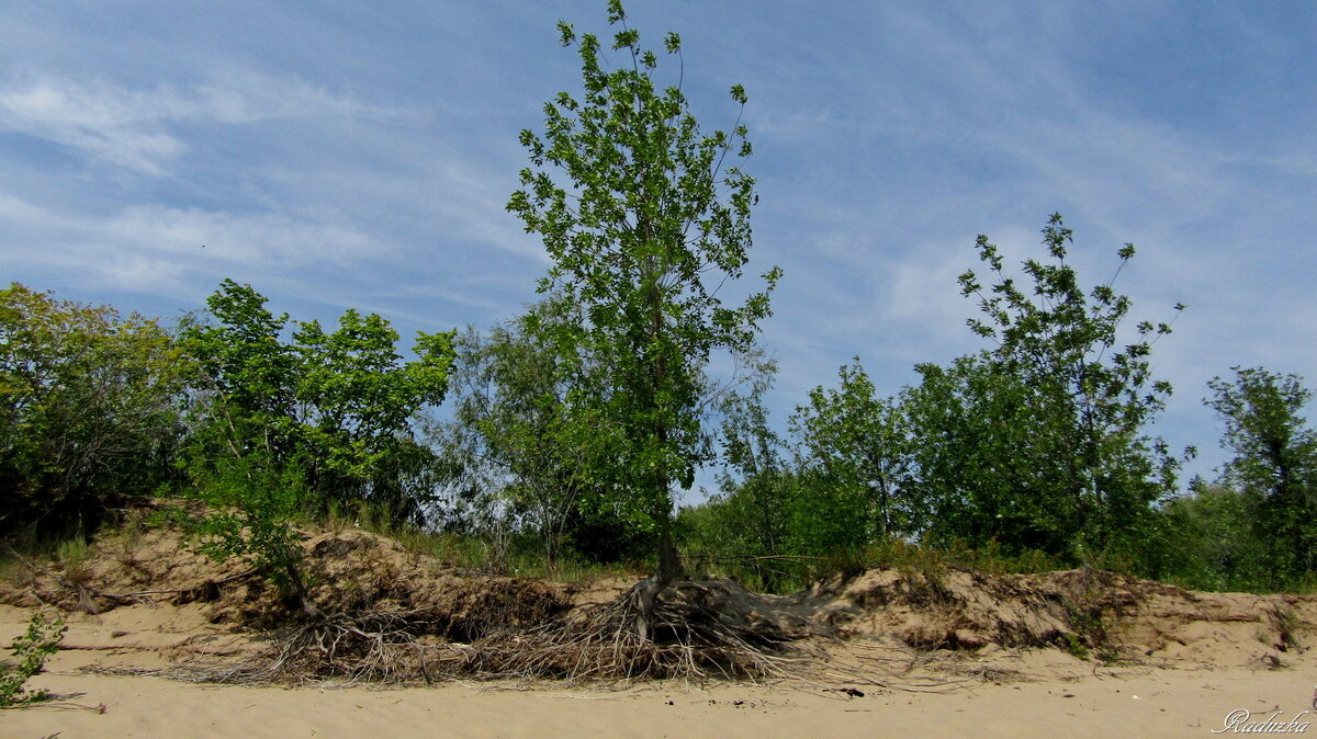 Волжский берег - Raduzka (Надежда Веркина) Волжский берег - Raduzka (Надежда Веркина)