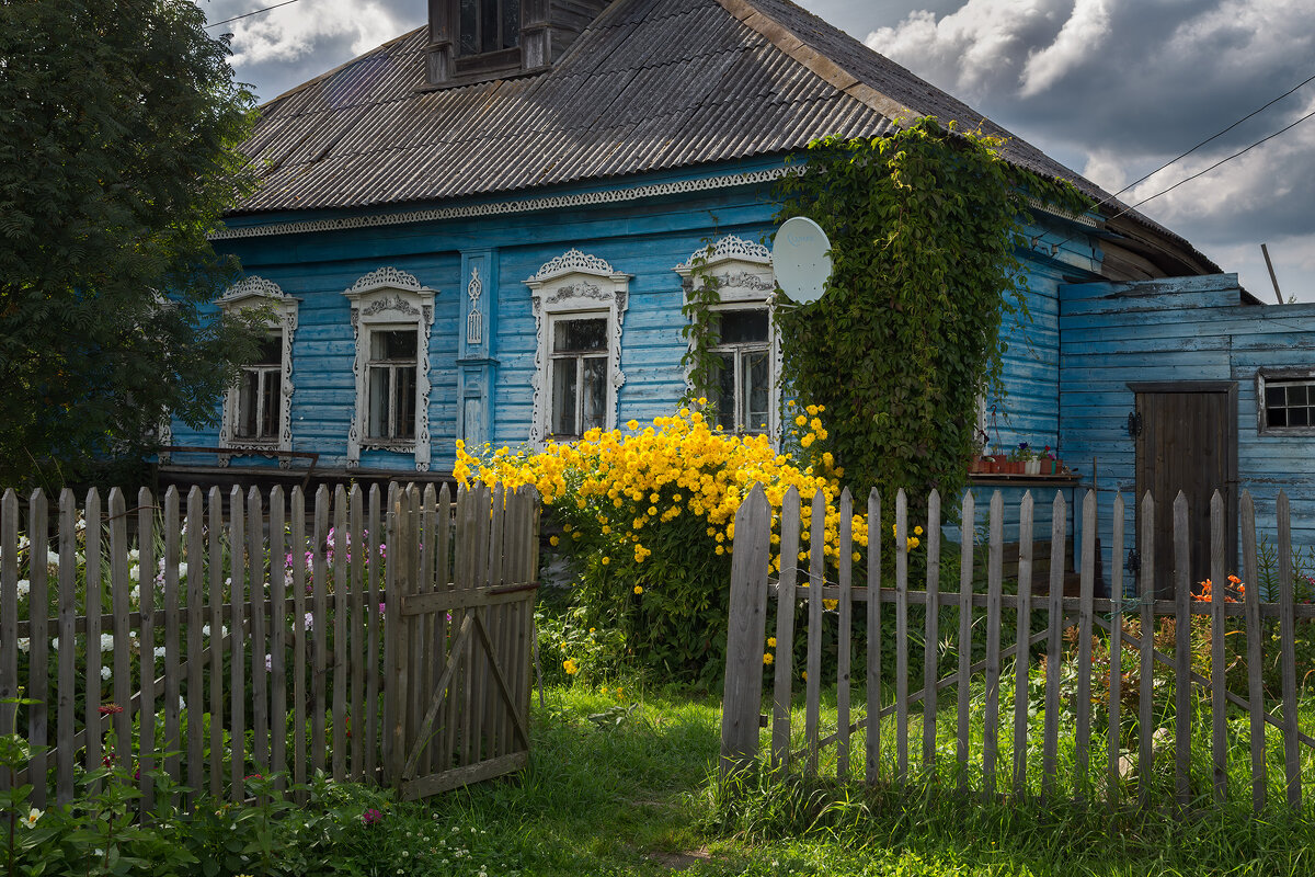 золотые шары - Galina золотые шары - Galina