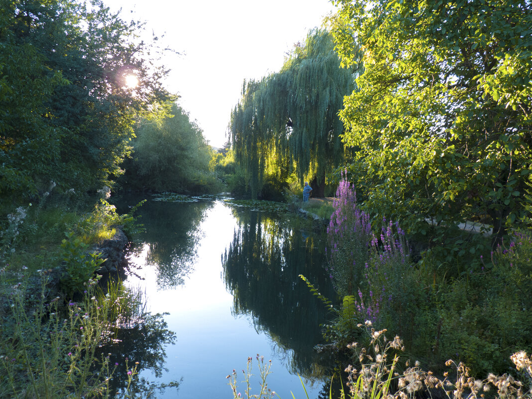 В парке ТНУ - Валентин Семчишин