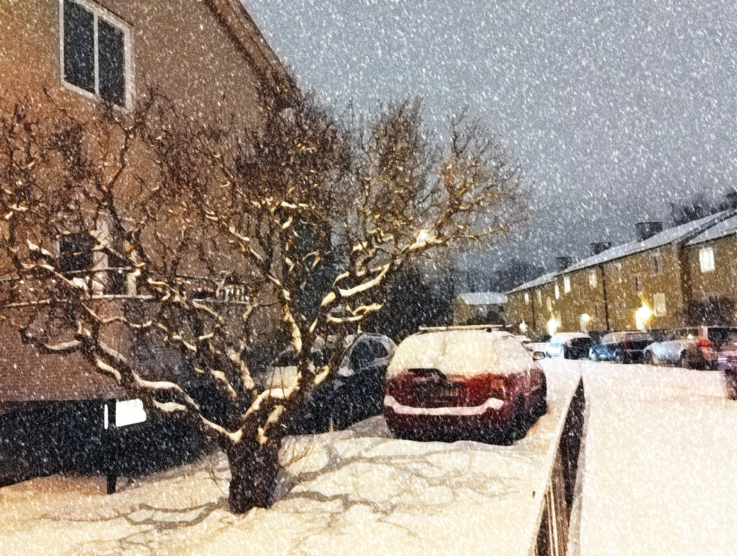 Тени утра - liudmila drake