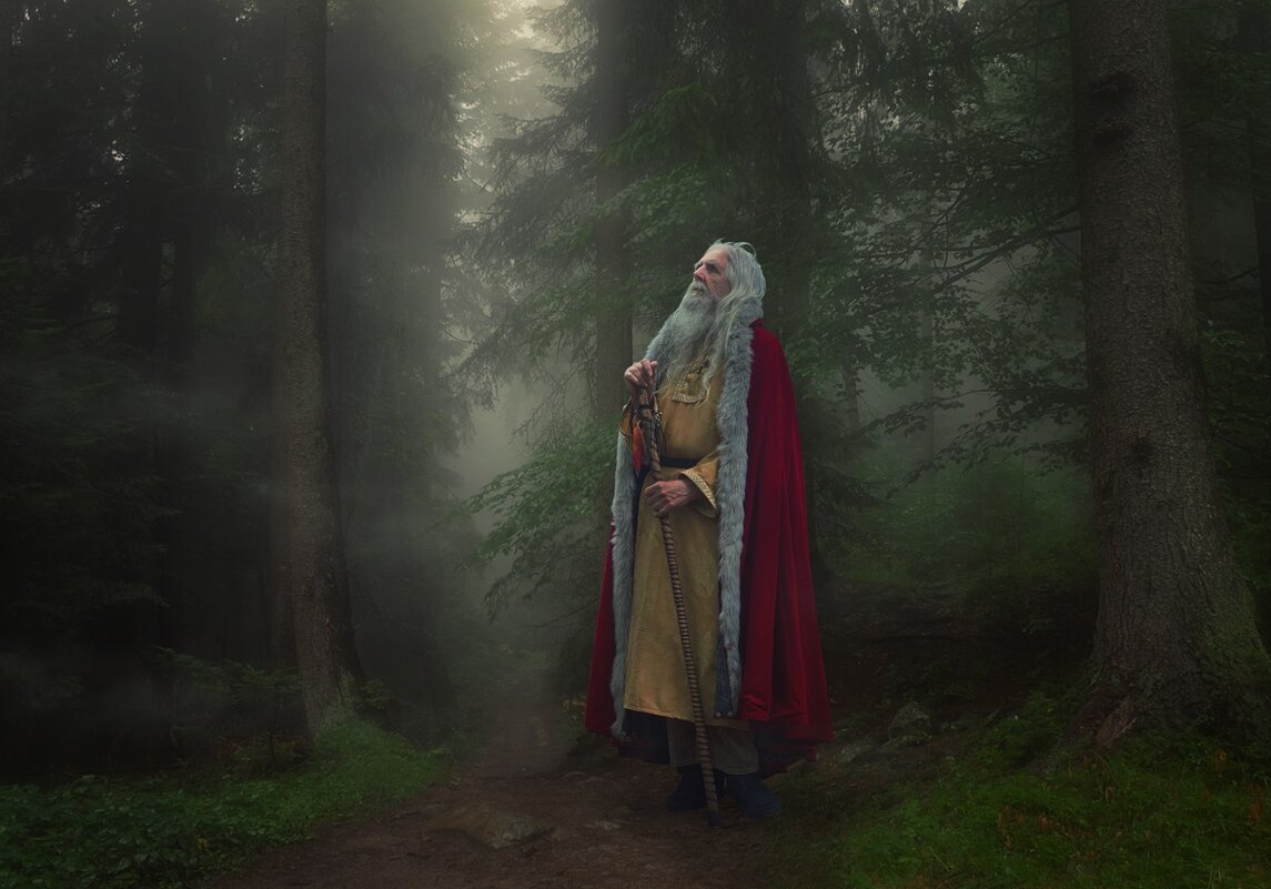 Друид - Sergii VIdov Друид - Sergii VIdov