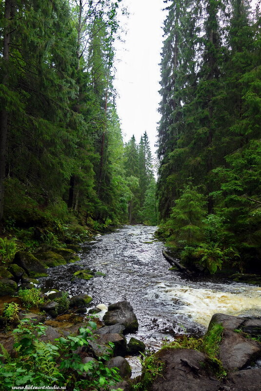 Водопады Рантала - Игорь Корф