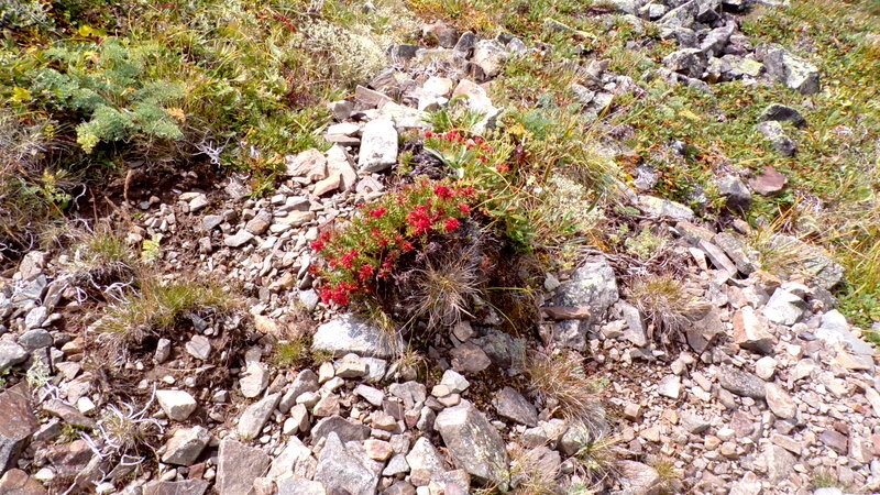 Ивановские озера - Любовь Иванова Ивановские озера - Любовь Иванова