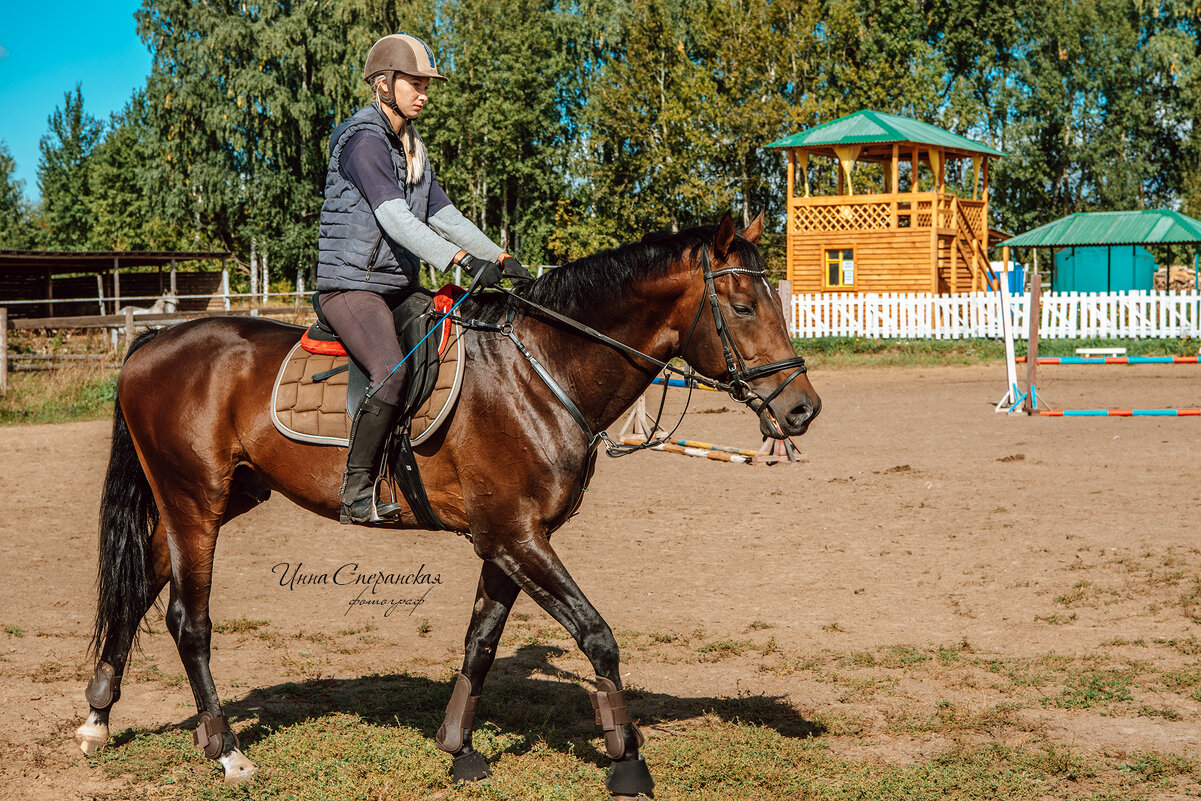 *** - Инна Сперанская