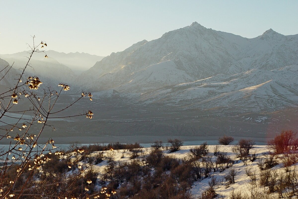 ЗИМНЯЯ ПРОГУЛКА. - Виктор Осипчук ЗИМНЯЯ ПРОГУЛКА. - Виктор Осипчук