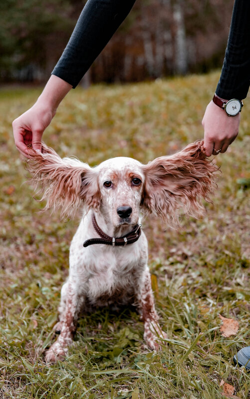 . - Анна Фелюшова