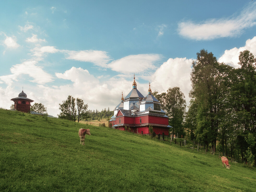 В Карпатах. - Юрий Гординский