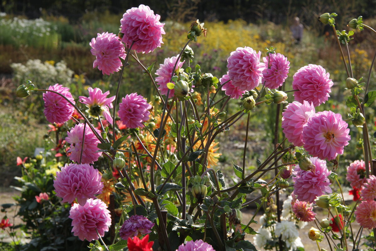 осень - Владимир Холодницкий