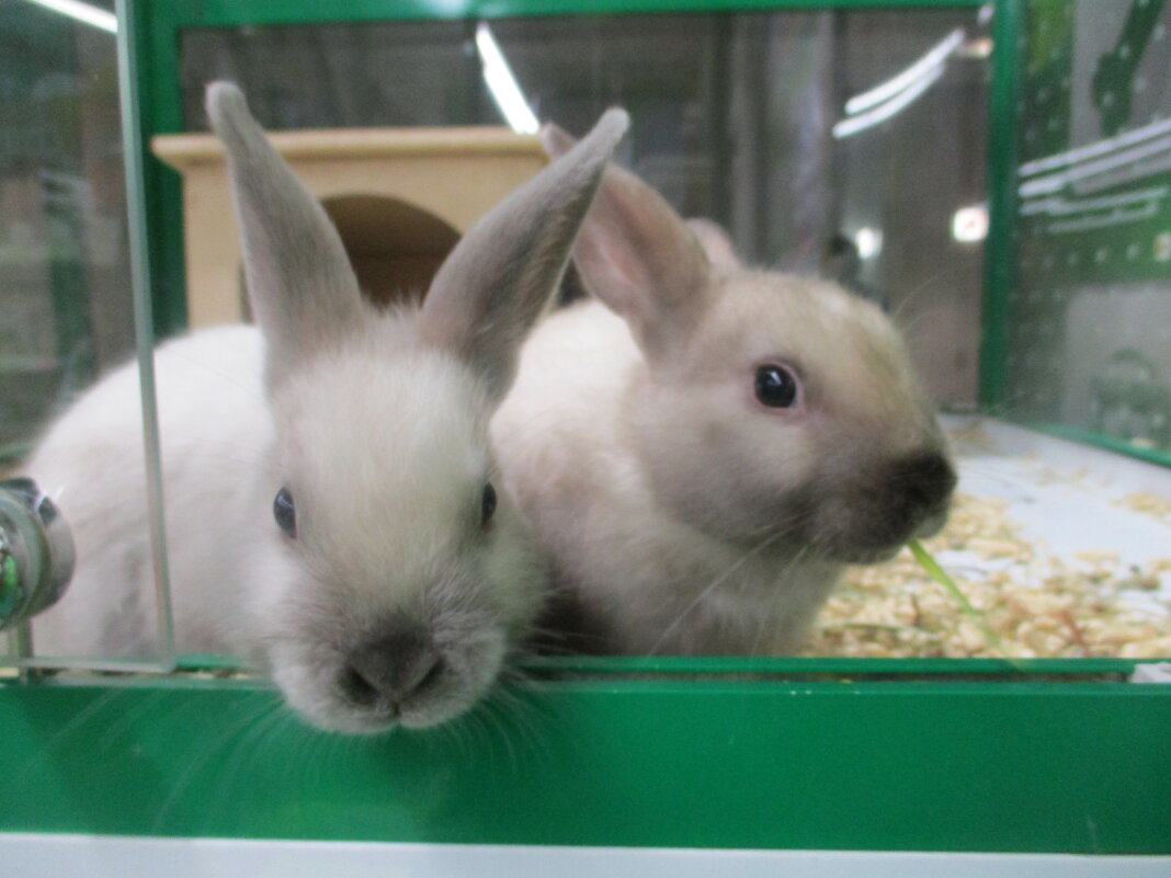 Малышам 4 месяца. - Зинаида 